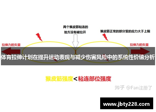 体育拉伸计划在提升运动表现与减少伤害风险中的系统性价值分析
